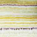 /msite/products/detail/productid/57004515/id/666344.html